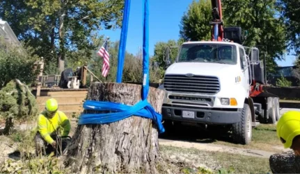 CommercialTreeRemoval Mitchell Tree Company Lathrop, MO