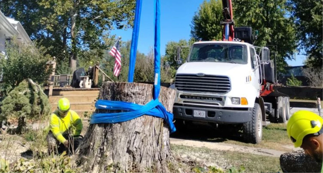 CommercialTreeRemoval Mitchell Tree Company Lathrop, MO CommercialTreeRemoval Mitchell Tree Company Lathrop, MO