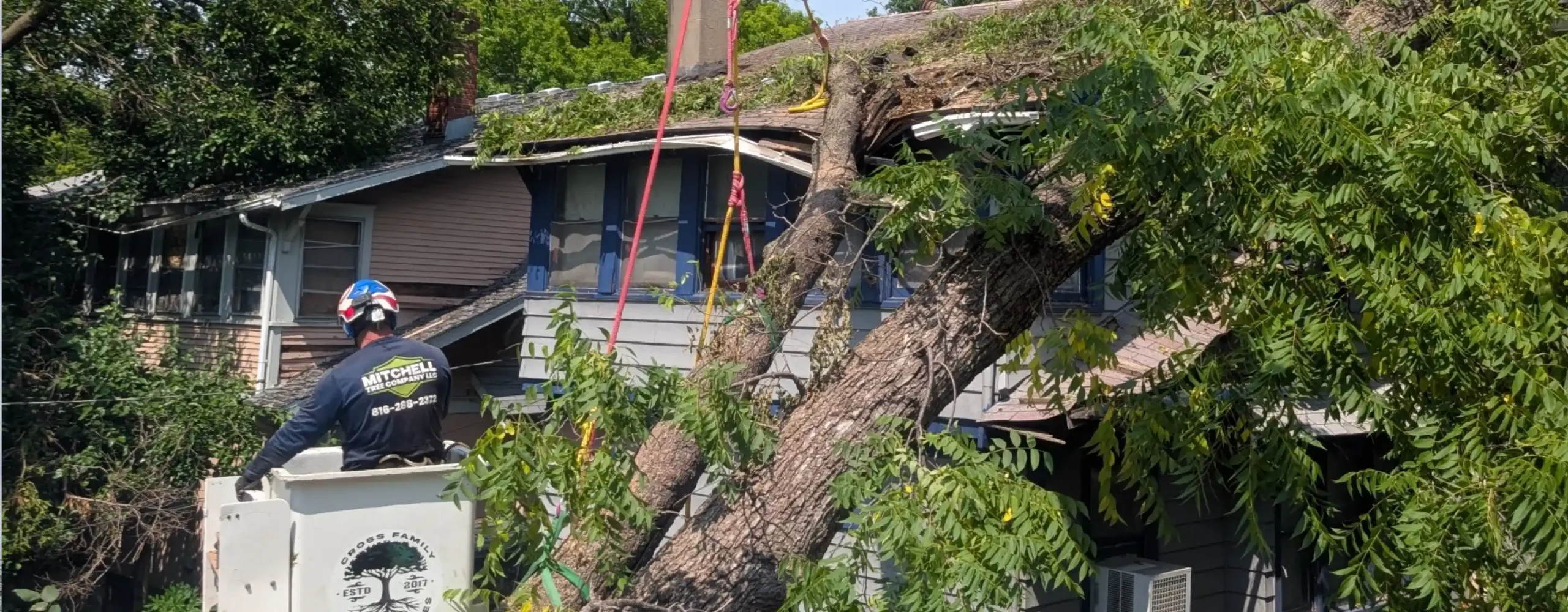 Hero Mitchell Tree Company Lathrop, MO