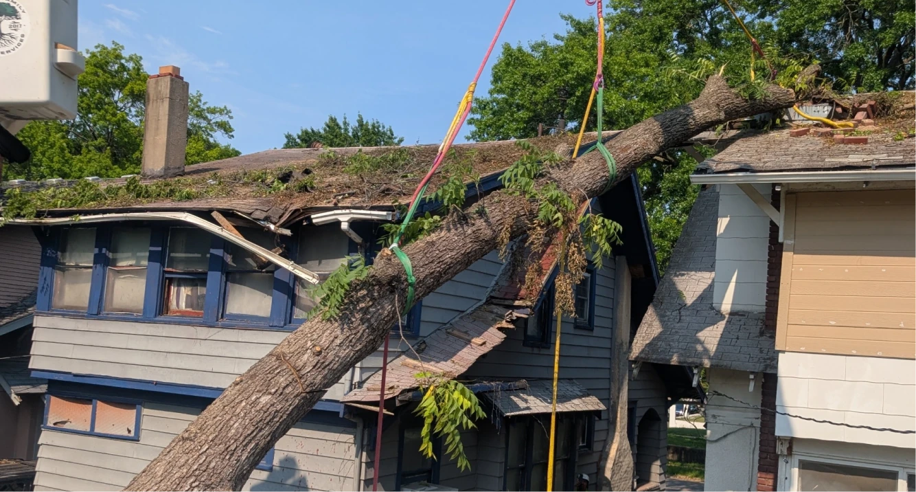 StormCleaning Mitchell Tree Company Lathrop, MO StormCleaning Mitchell Tree Company Lathrop, MO