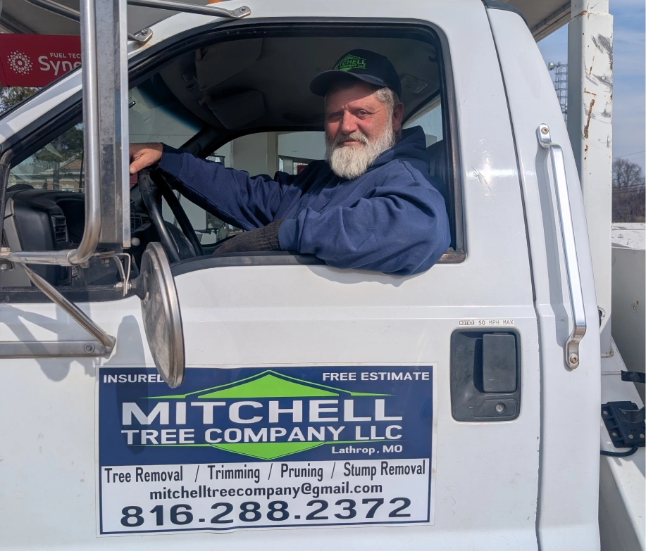 TeamWorkMitchell Tree Company Lathrop, MO