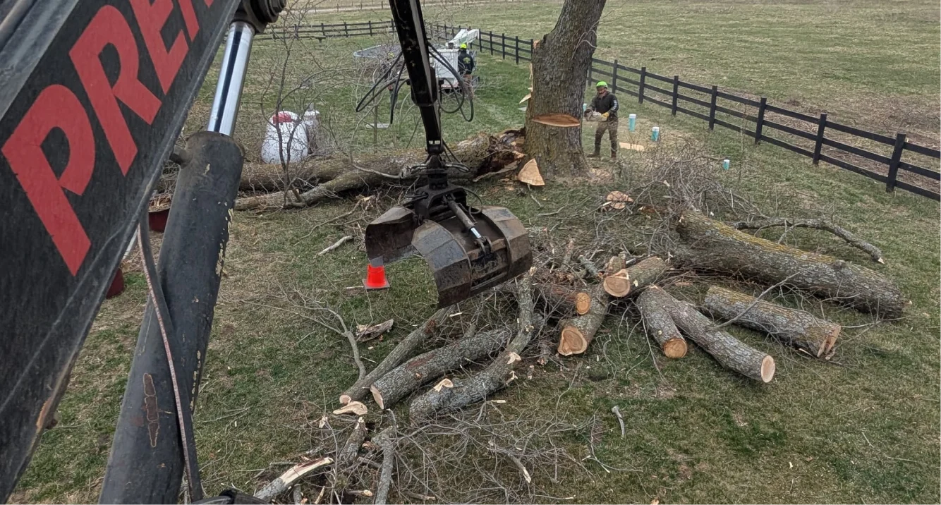 TreeRemoval Mitchell Tree Company Lathrop, MO TreeRemoval Mitchell Tree Company Lathrop, MO